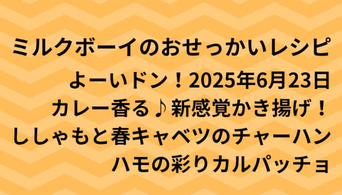 よーいドン！ミルクボーイのおせっかいごはん2025年6月23日